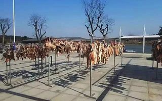 新中安丨放暑假啦!老司机带你畅游八岭湖!