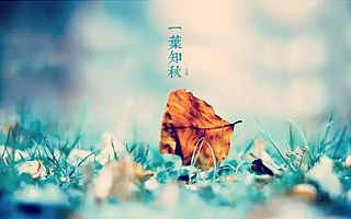 立秋 | 云天收夏色,木葉動秋聲,暑去涼來蟬唱稀