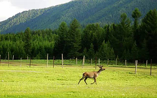 心将行,新疆行!(1)