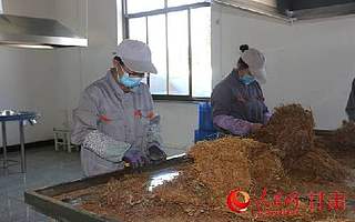 甘肃张掖:小微企业创业创新基地发展已初具规模