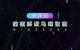 鸟瞰智能公开半年报,利润劲增450.95%,勇夺新三板人工智能第一股