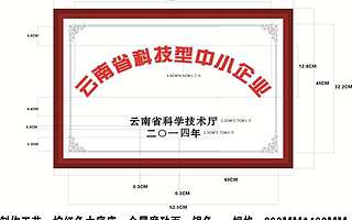 云南省科技厅关于印发2015年第二批审核认定云南省科技型中小企业名单的通知