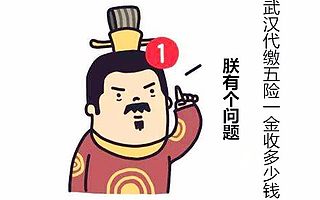 涨姿势:武汉代缴五险一金收多少钱
