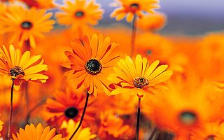 创业者需要了解什么是技术VC