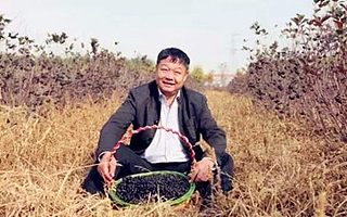 他用了9年時間,歷盡艱辛,培植出一枚神奇的果實