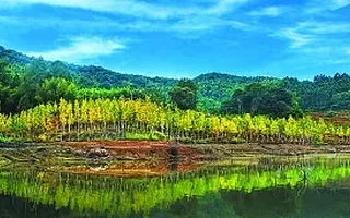 三明这个示范区被列为全国典型