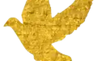 【双创播报—房抵贷】有房一族看过来,最新房抵贷优惠如下……