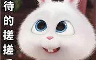 头条|2018武汉乘势而上,两会助力青年“有梦想 一起创”!