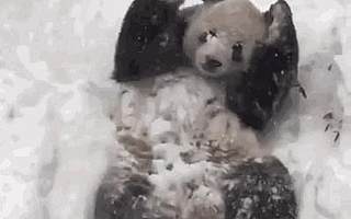 【媒体聚焦】高新区铲雪除冰ING！央视新闻报道了咱们！！