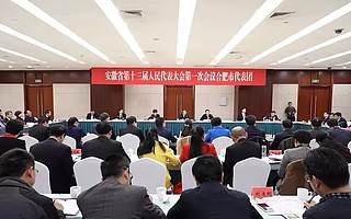 安徽省“两会”代表委员:税收优惠为企业发展添后劲