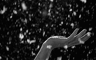 寒冷的雪天,高新区有这么几个暖心的故事~