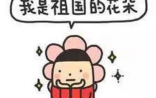 关注|蓬勃青春绽放时代芳华，带你看看两会上的80、90后委员和代表！