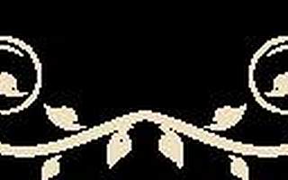 头条|李克强同在华外国专家举行新春座谈会