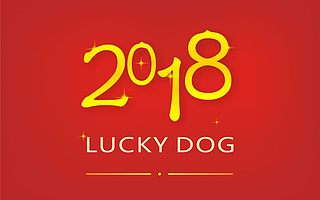 网贷技术去哪里学 网贷技术学习网贷技术培训如何快速盈利