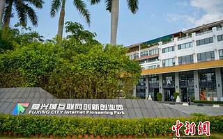 海南工信厅副厅长:年轻人来海南创新创业将对三代人负责