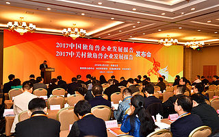 成都新潮传媒入选火炬中心中国独角兽企业榜单