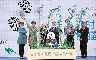 咪咕牽手熊貓基地 發(fā)起“熊貓啟航計(jì)劃”