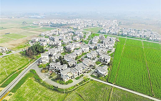 《成都市实施乡村振兴战略若干政策措施（试行》出台