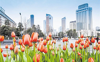 成都迈向世界旅游名城