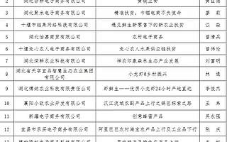 看这里！2018年“创青春”湖北青年创新创业大赛农村电商组复赛名单出炉