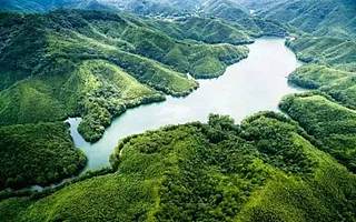 兴“林”扶贫:税务蓝助力“林改第一县”的绿色崛起