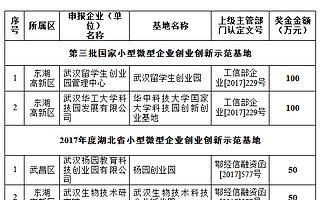 武汉市关于拨付2018年国家和省级小型微型企业创业创新示范基地奖励资金的通知