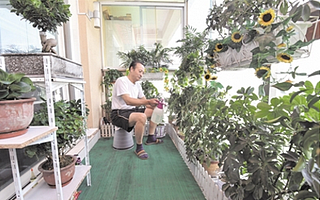 棲身最美陽臺 看成都高新最美風景