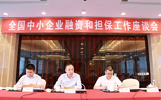 全国中小企业融资和担保工作座谈会圆满召开