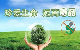 国际禁毒日 | 拒绝毒品，珍爱生命！一起向毒品说“不”！