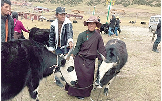 成都高新區今年投入7840萬元幫扶德格縣