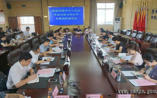 国务院提升中小企业专业化能力和水平专题调研组赴贵州省调研