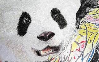 全球首幅3D背景AI锦绣熊猫昨日在蓉产生