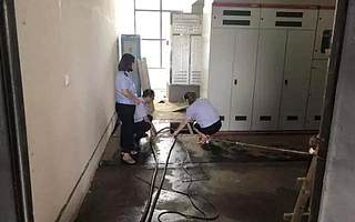 洪流中的改革一线：川渝甘陕税务部门积极救灾保平稳