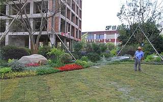 【美丽高新】高新区精细绿化养护，保障园区绿化苗木安全度夏