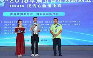 青创人物|黄文博：十年磨一剑，一生只为猪