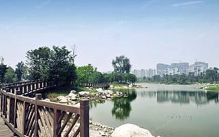 跟隨“公園地圖” 發現成都高新區生態之美