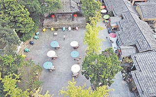 建设成都农业智库 为乡村振兴构建人才高地