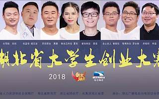 2018湖北省大创赛创业之星——曾维伦