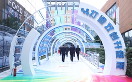 筑巢引鳳！成都知識產權保護成效顯著，助力“雙創”升級