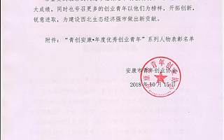 关于表彰“青创安康•年度优秀创业青年” 系列人物的决定