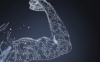 致馬蜂窩并所有炒作者:老實(shí)的力量