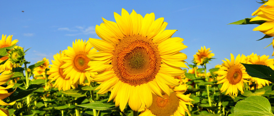 井贤栋：小微企业给点阳光就能灿烂