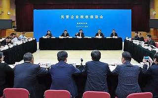 王军在民营企业税收座谈会上强调：助推民营企业走向更加广阔的舞台