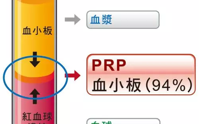 全国第四届PRP技术骨病疼痛临床应用高级研修班