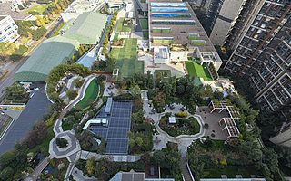 成都高新區(qū)探索增綠新模式 推進(jìn)多層次立體綠化