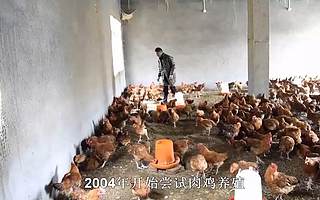 一顿营养餐背后的税收故事：虽辛苦，却温暖