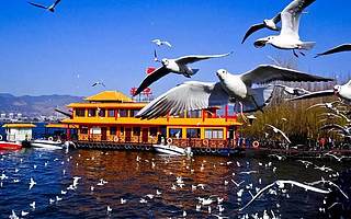 盘点丨中国春城，就是这8座城市了