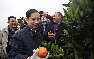 阿里巴巴CEO张勇:未来的农业一定是C2B的“订单农业”