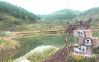 龙泉山城市森林公园龙泉段建设有序推进