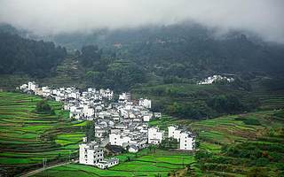 乡村振兴战略下的农村土地闲置问题研究